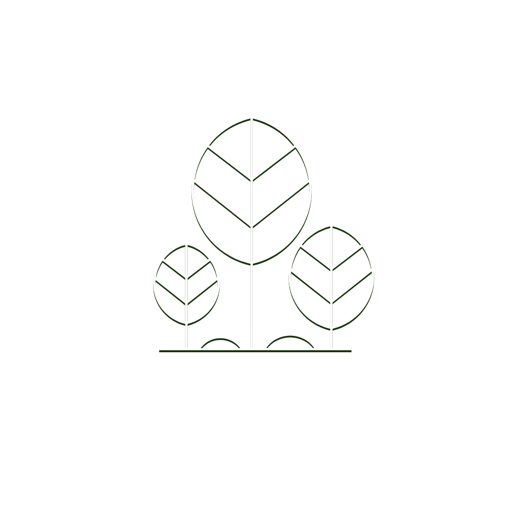 Trees for Africa Worcester Logo